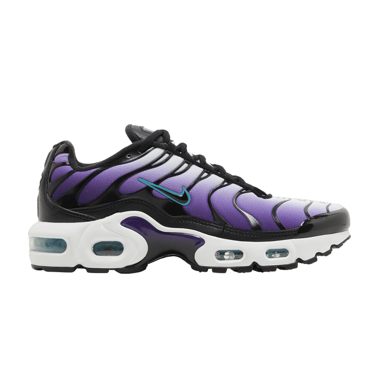 Nike Air Max Plus Reverse Grape (GS)