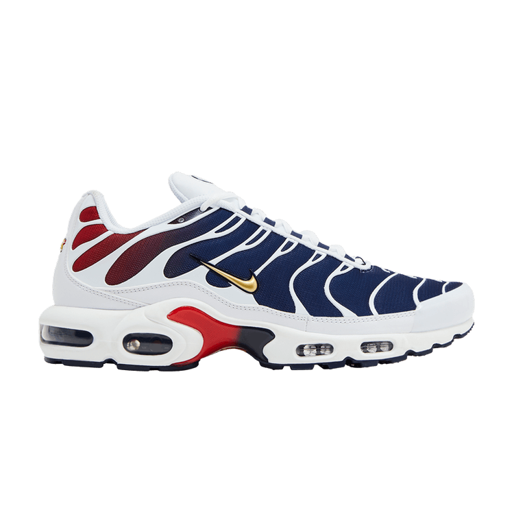 Nike Air Max Plus PSG