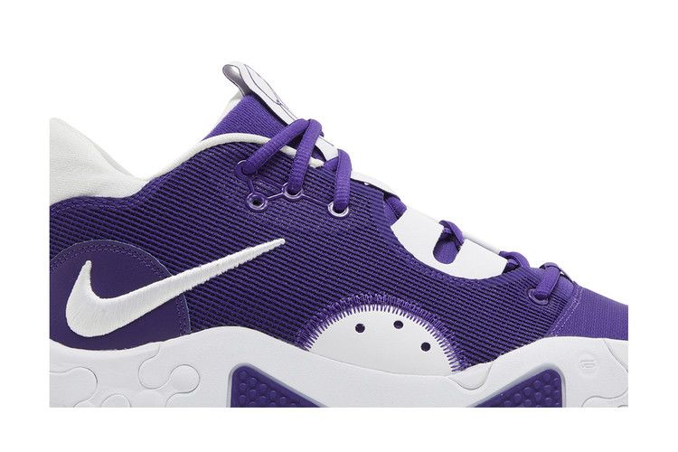 Nike PG 6 TB Court Purple