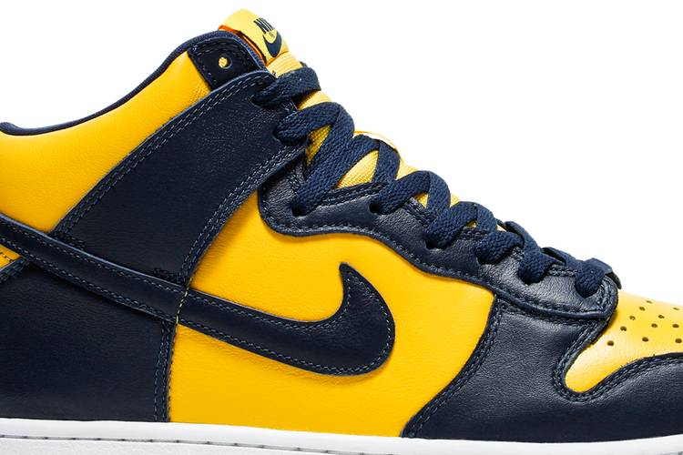 Nike Dunk High Michigan (2020)