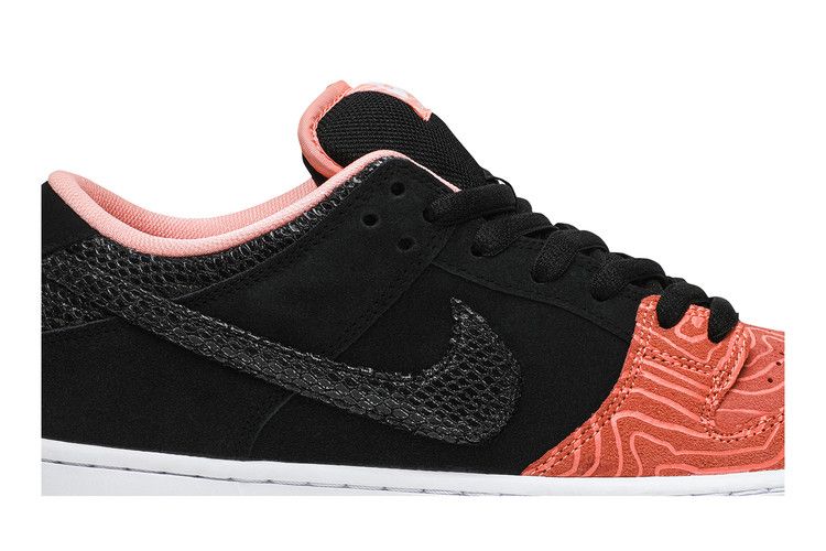 Nike SB Dunk Low Premier Fish Ladder