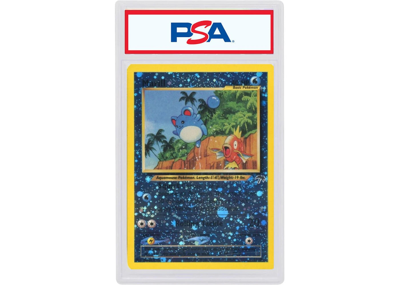 2001 Pokemon Southern Islands Promo 11 Marill-Holo (PSA or BGS Graded)