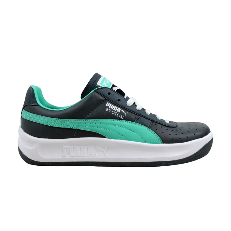 Puma GV Special Turbulence