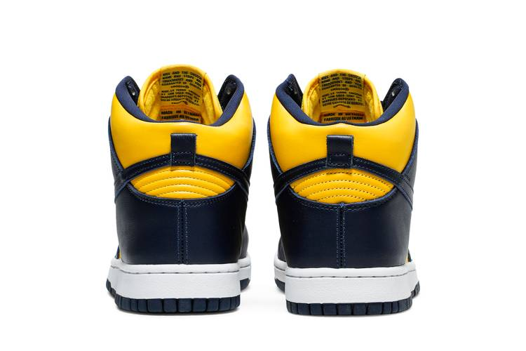 Nike Dunk High Michigan (2020)