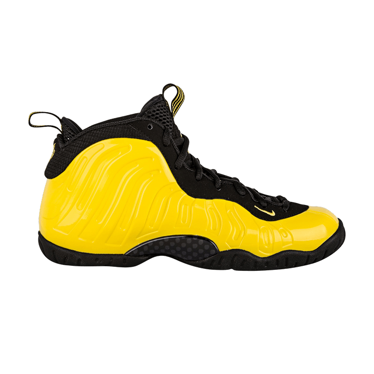Nike Air Foamposite One Wu-Tang (GS)