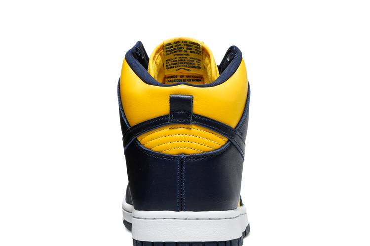 Nike Dunk High Michigan (2020)