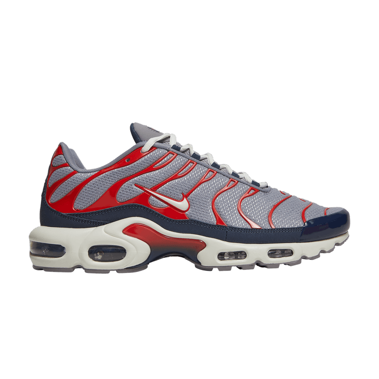 Nike Air Max Plus USA Grey