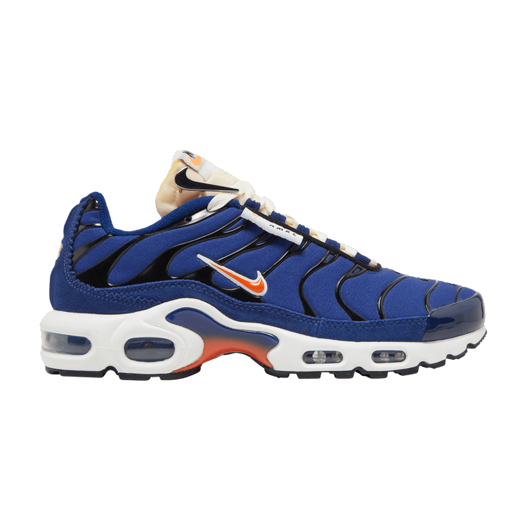 Nike Air Max Plus SE Air Max Running Club