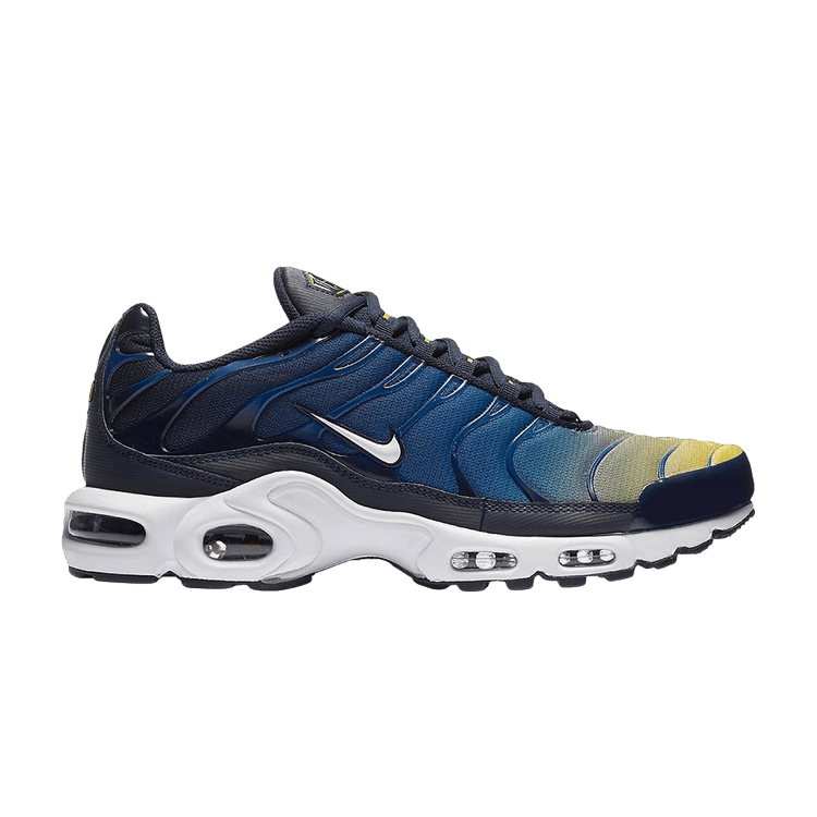 Nike Air Max Plus Gradient Pack Obsidian