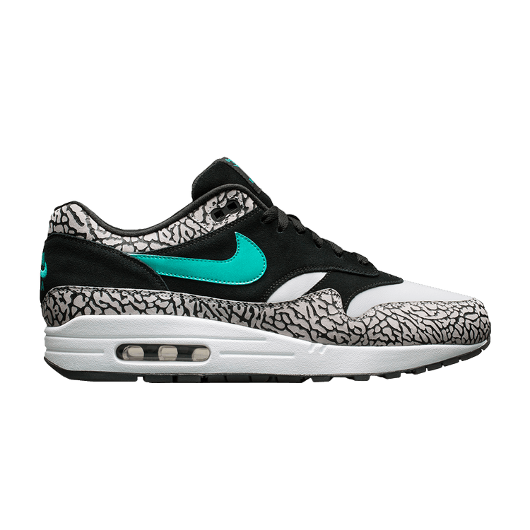 Nike Air Max 1 atmos x Jordan