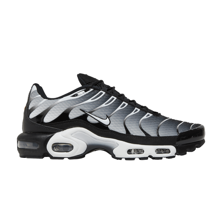 Nike Air Max Plus Black Silver White