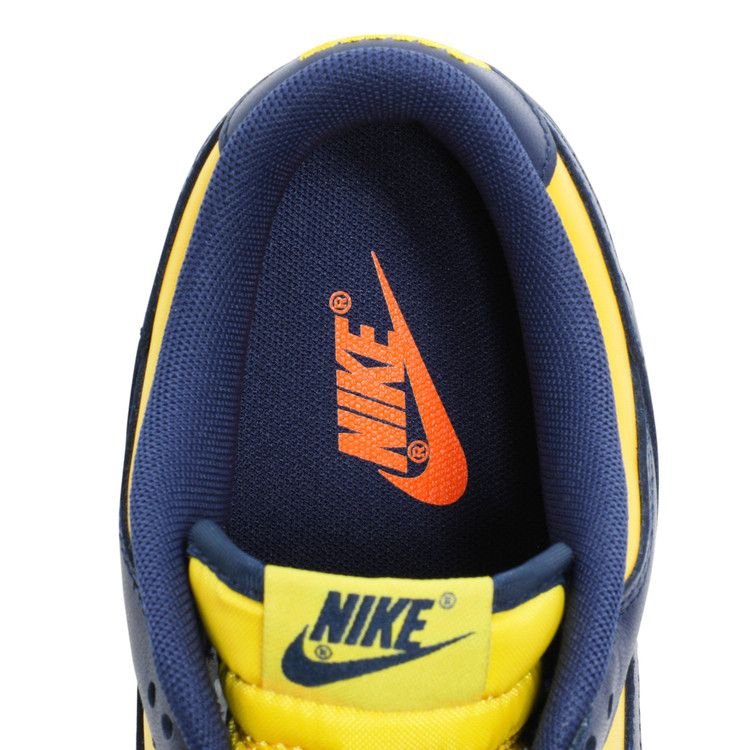 Nike Dunk Low Michigan (2021)