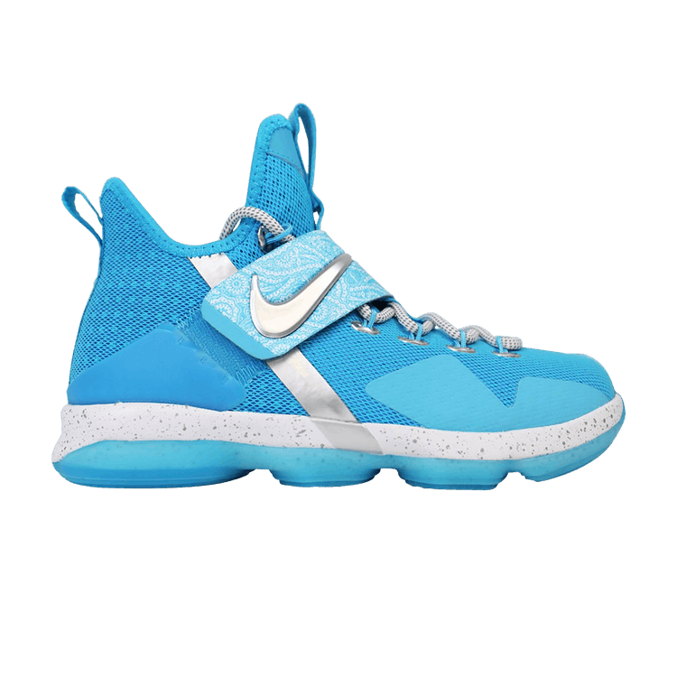 Nike LeBron 14 Ric Flair (GS)