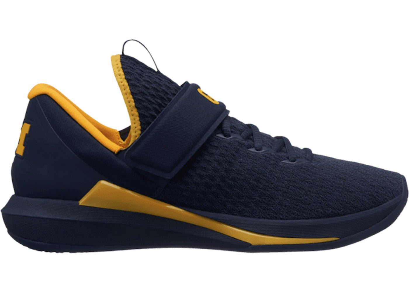Jordan Trainer Michigan Wolverines