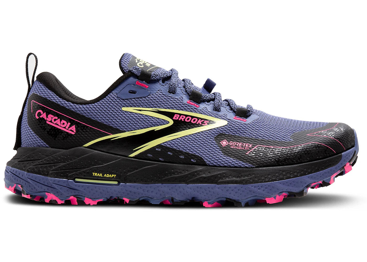 Brooks Cascadia 18 Gore-Tex Grey Blue Black Pink (Women's)