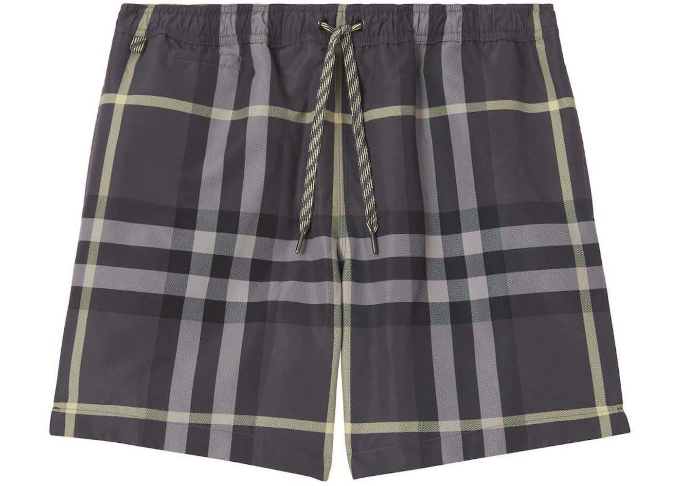 Burberry Checked Martin Swim Shorts Grey