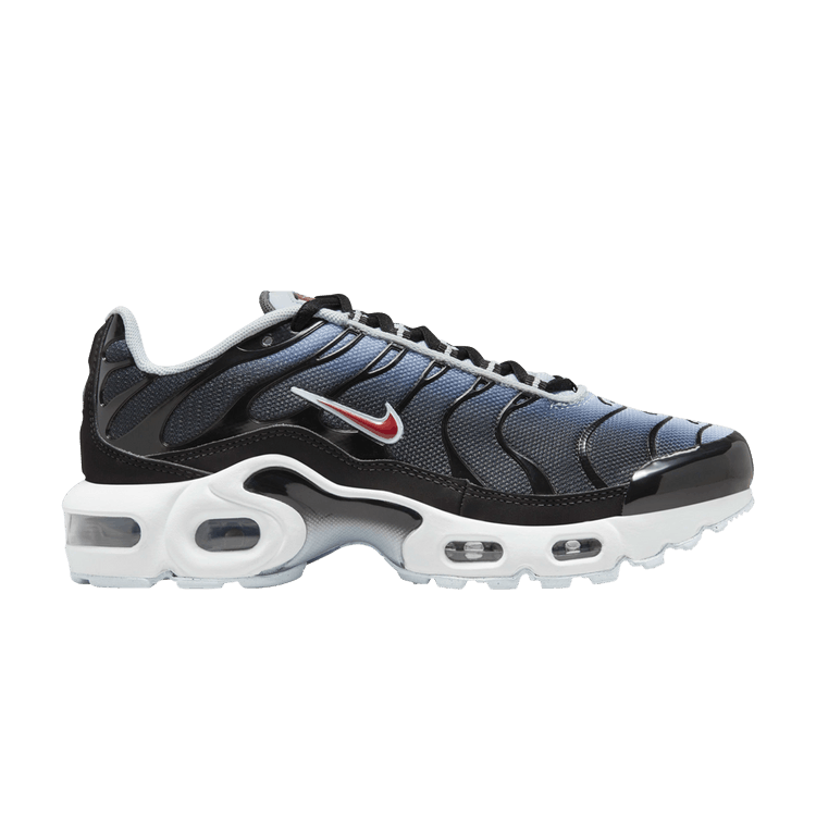 Nike Air Max Plus Blue Tint Rugged Orange (GS)