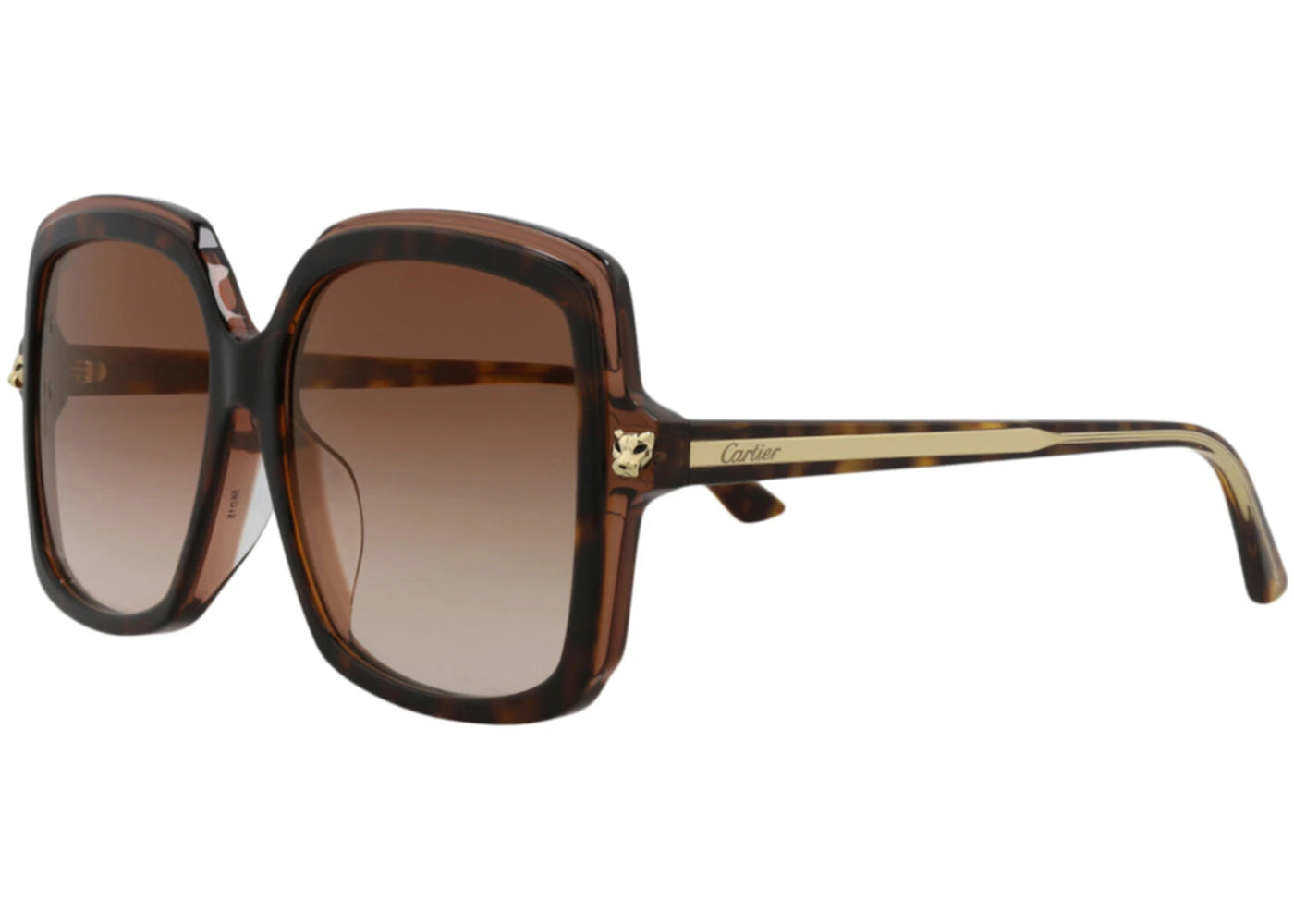 Cartier Square Sunglasses Havana/Havana/Brown (CT0196SA-30007983-002)