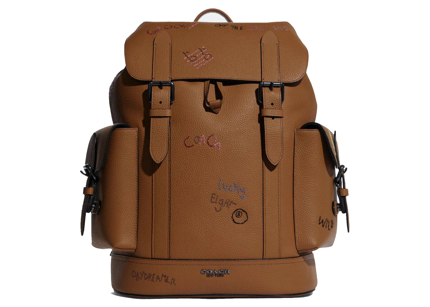 Coach Hudson Backpack Diary Embroidery Brown