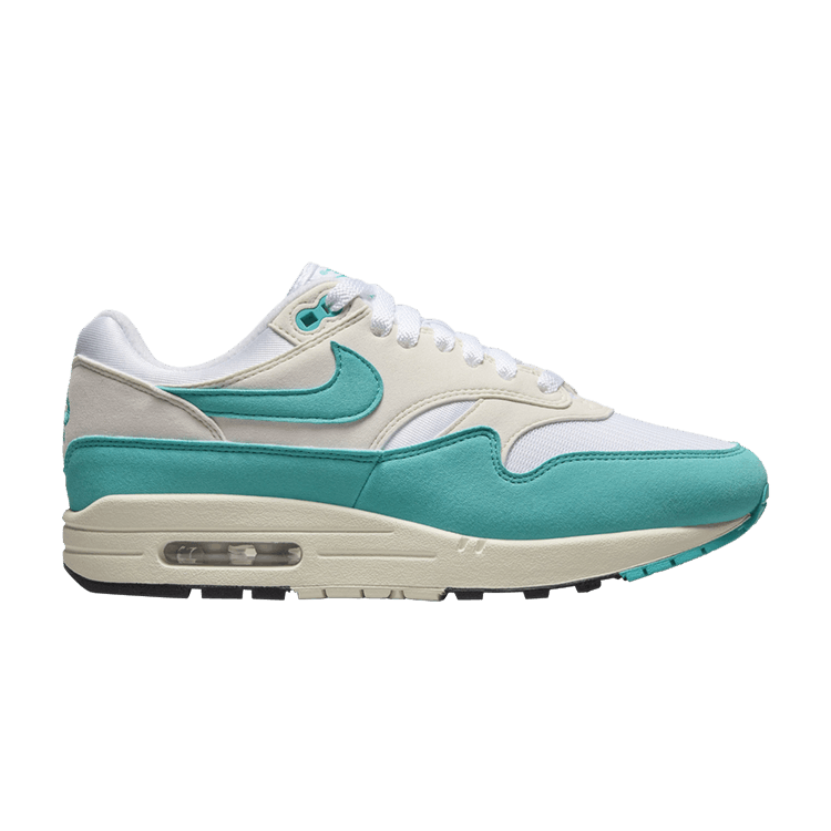 Nike Air Max 1 Dusty Cactus (Women's)