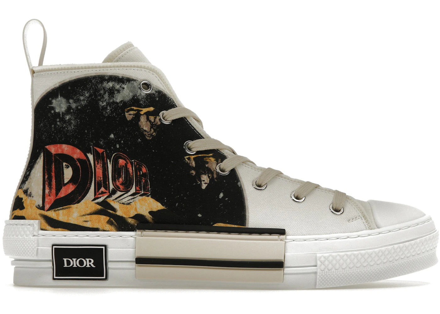 Dior B23 High Top AsteroDior White