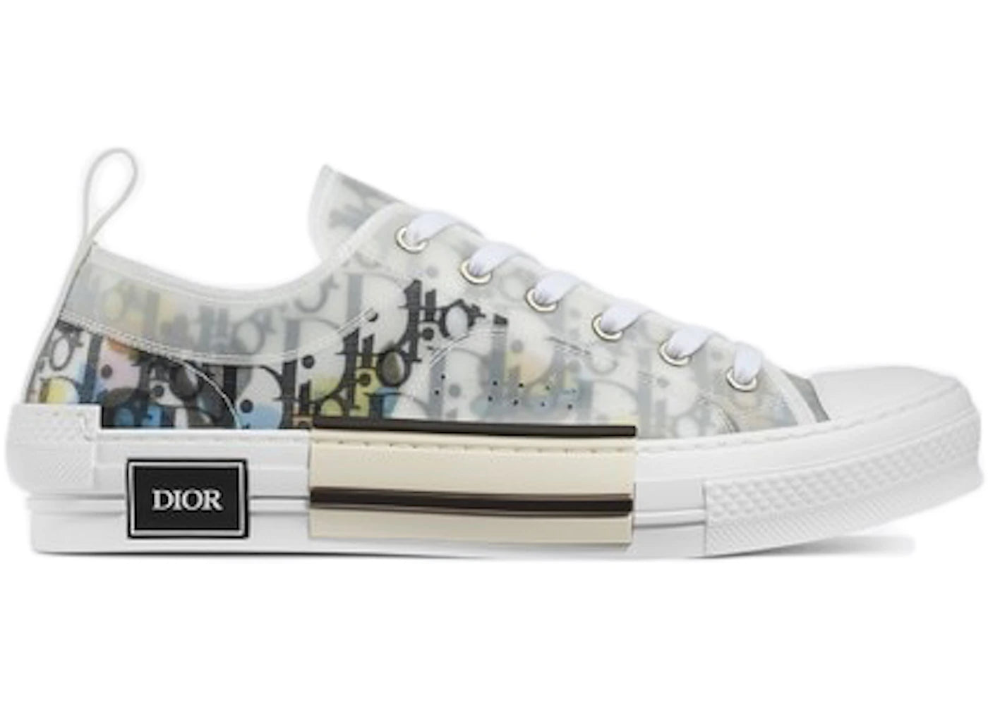 Dior B23 Low Top Alex Foxton Oblique