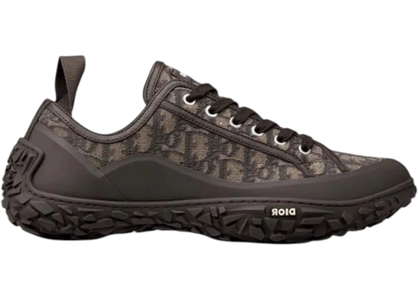 Dior B28 Diorizon Black Brown