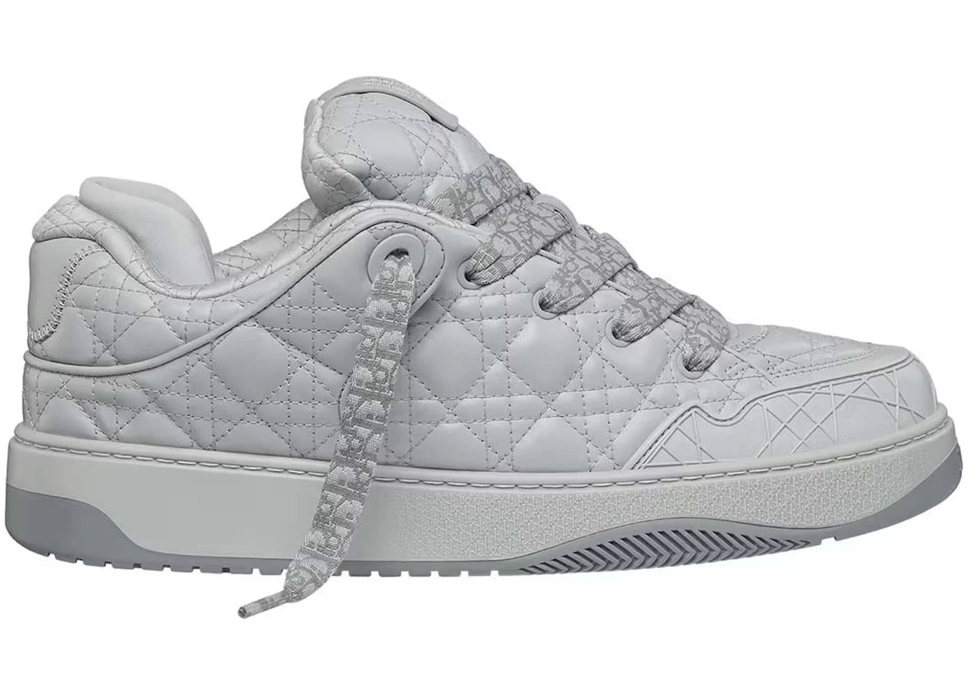 Dior B9S Skater Dior Gray (Numbered)