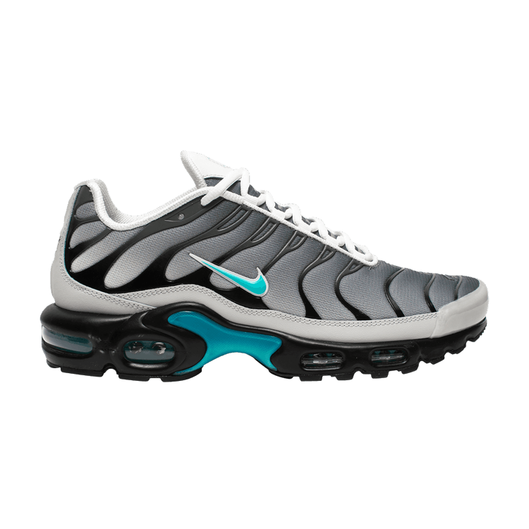 Nike Air Max Plus One Block Down Matte Silver