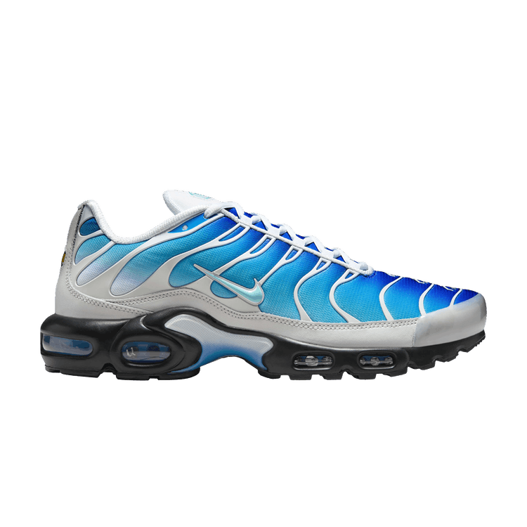 Nike Air Max Plus One Block Down Light Photo Blue