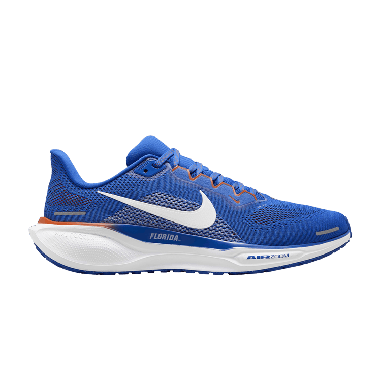 Nike Air Zoom Pegasus 41 Florida