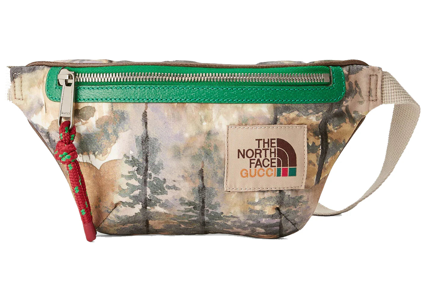 Gucci x The North Face Belt Bag Multicolor