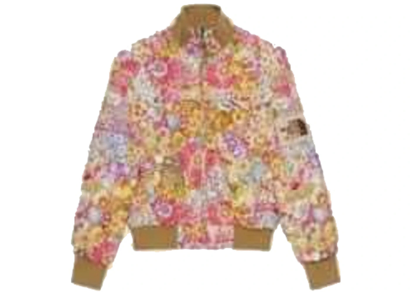 Gucci x The North Face Online Exclusive Nylon Bomber Jacket Floral