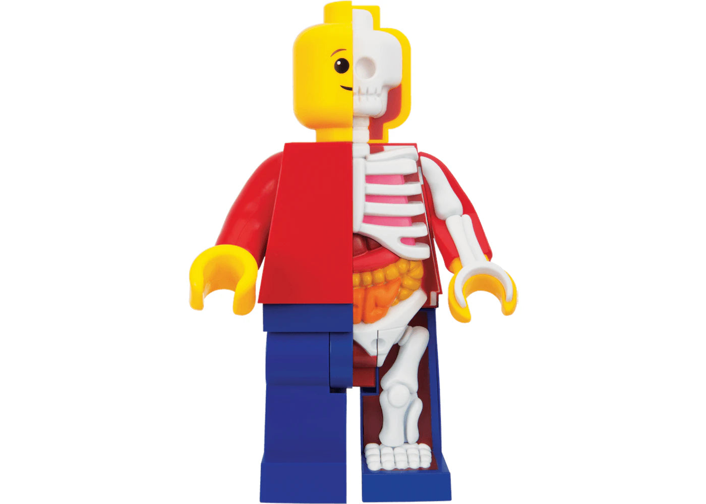 Jason Freeny Mighty Jaxx Bigger Micro Anatomic Junior Figure