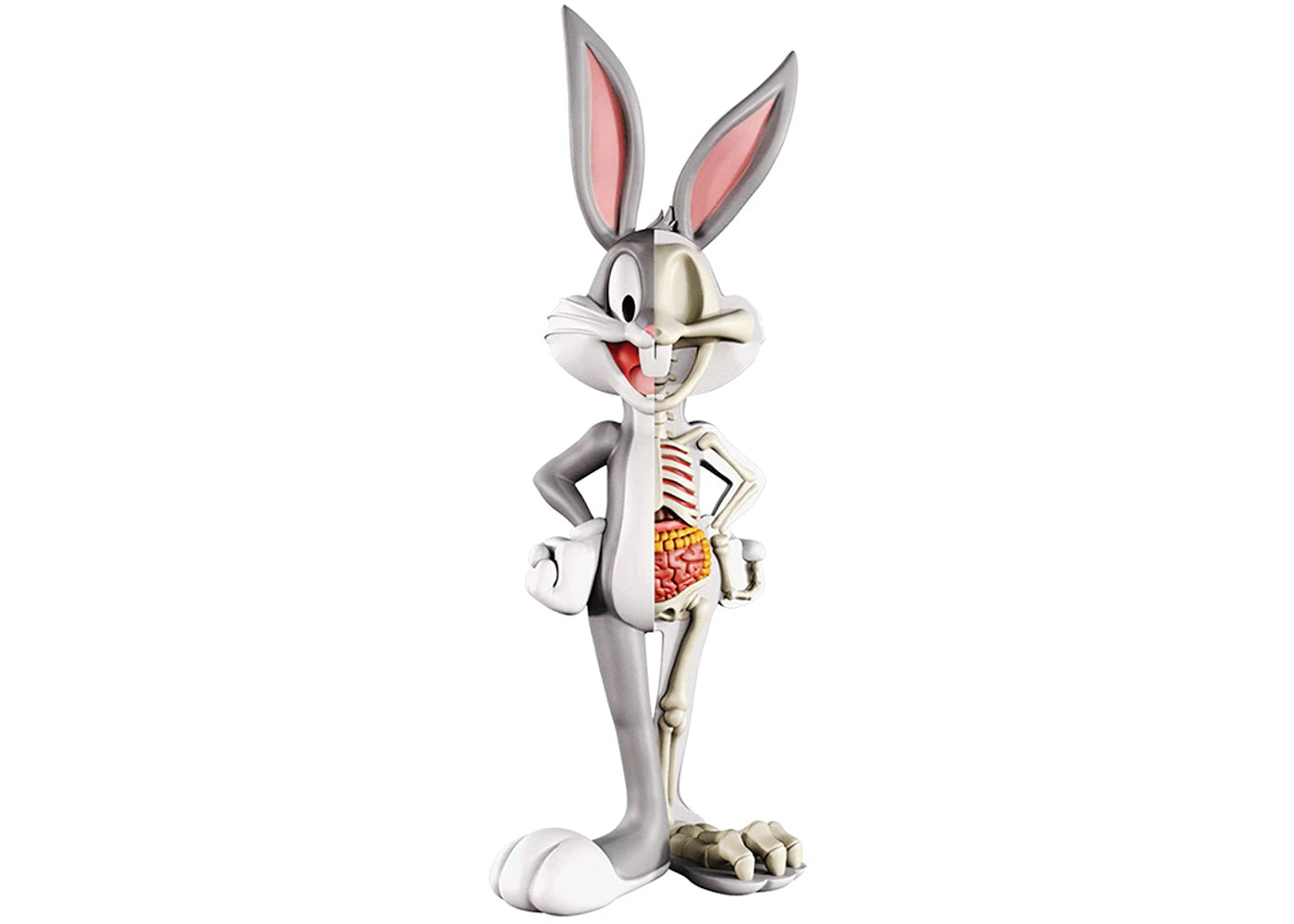 Jason Freeny XXRay Looney Tunes Bugs Bunny Figure Multi