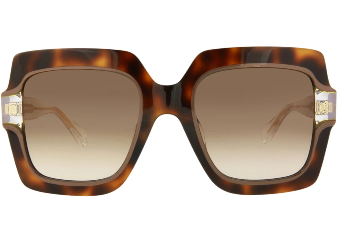 Just Cavalli Square-Frame Acetate Sunglasses Havana Crystal Brown (SJC023K-53-09AJ)