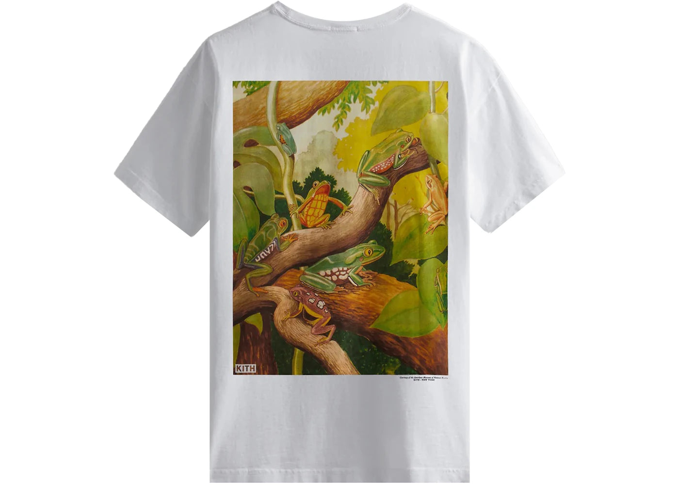 Kith AMNH Amphibians Vintage Tee White