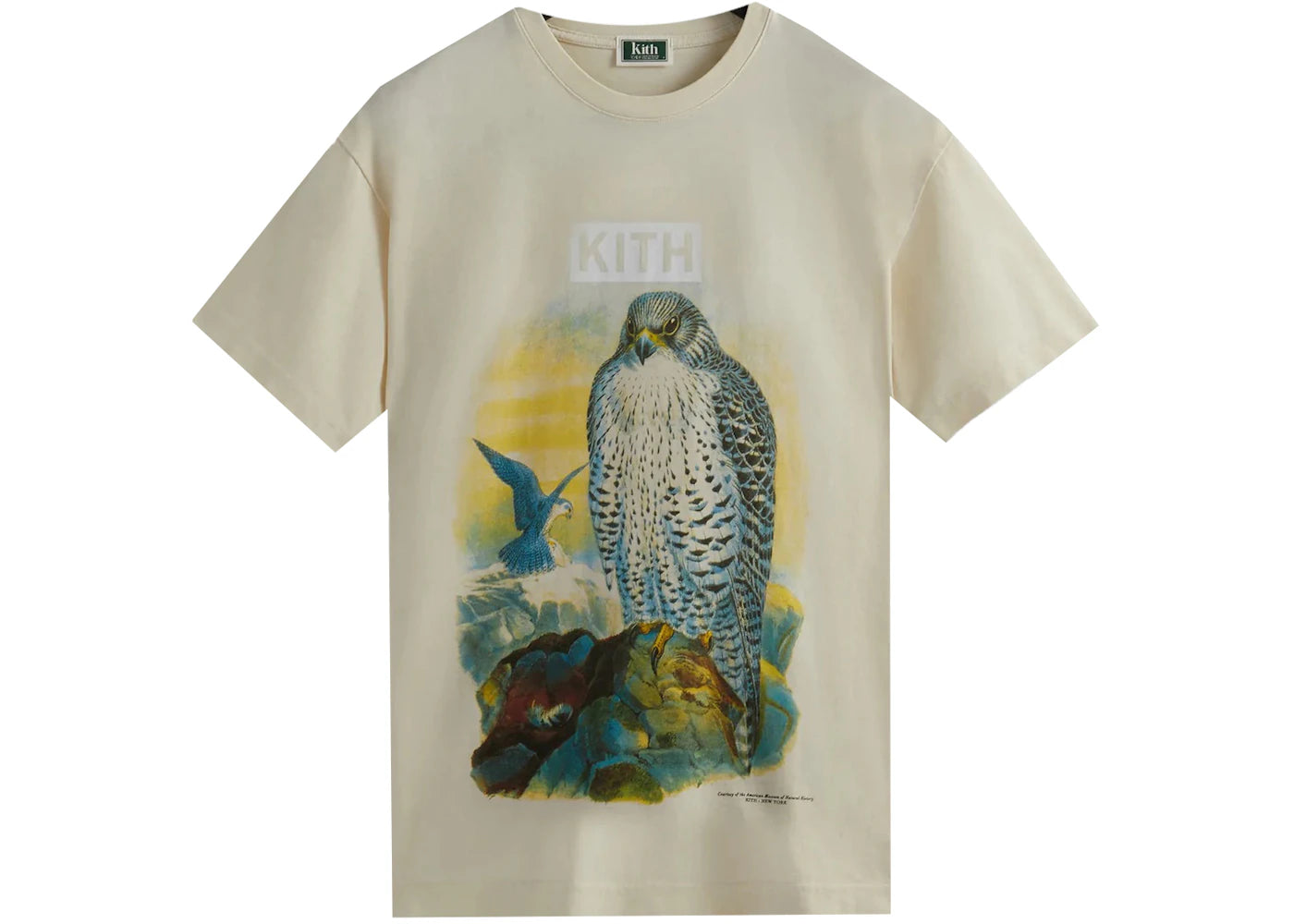 Kith AMNH Falcon Vintage Tee Sandrift