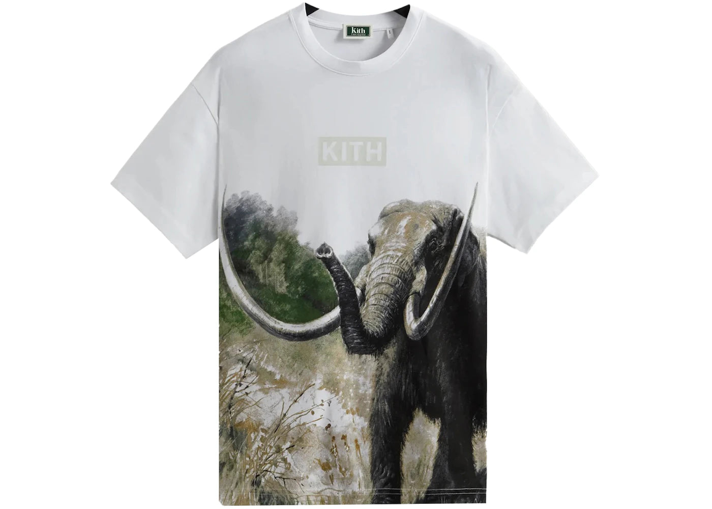 Kith AMNH Late Mammals Vintage Tee White