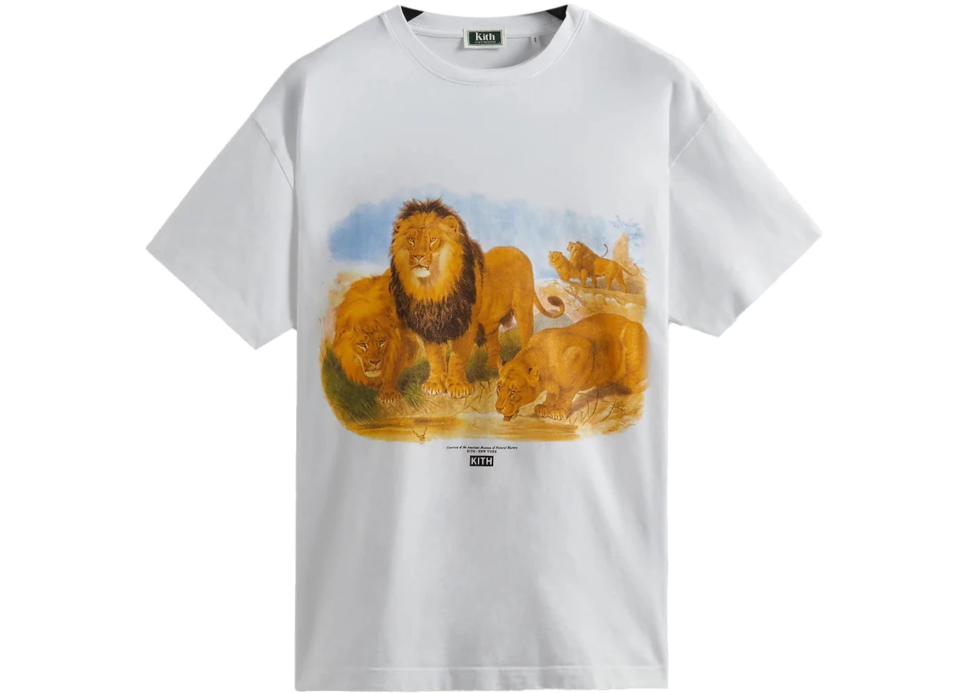 Kith AMNH Lion Vintage Tee White