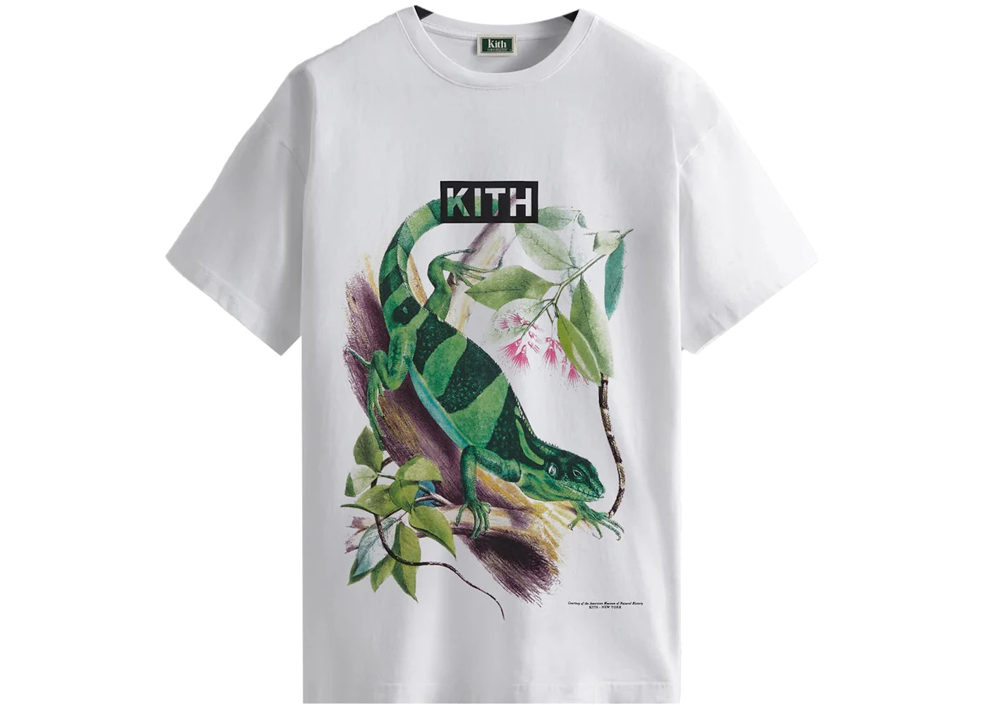 Kith AMNH Lizards Vintage Tee White