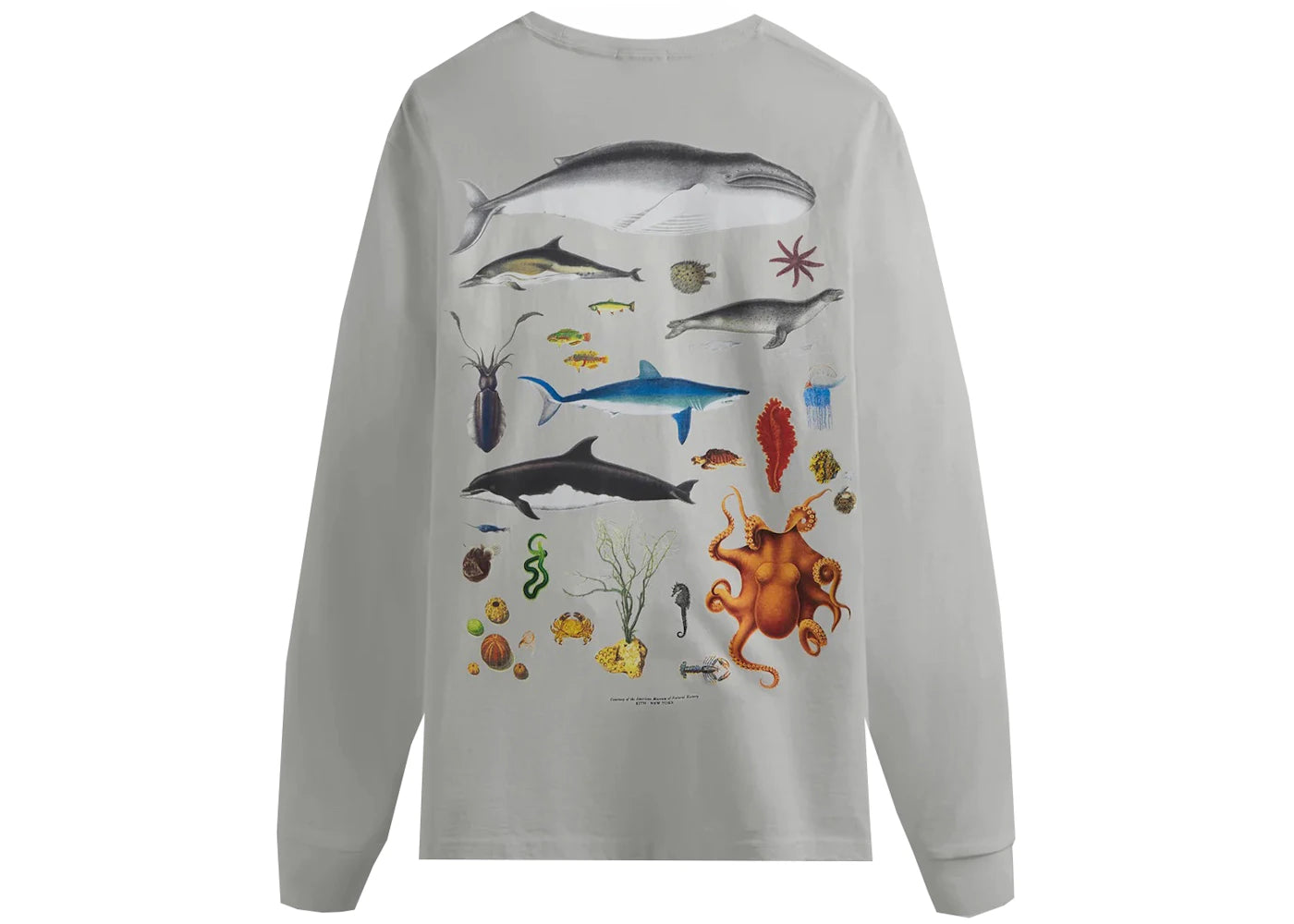 Kith AMNH Marine Life Vintage Long Sleeve Tee Concrete