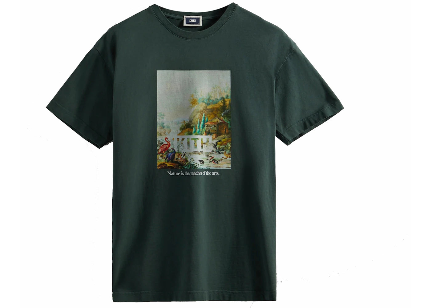 Kith Art Of Nature Vintage Tee Stadium