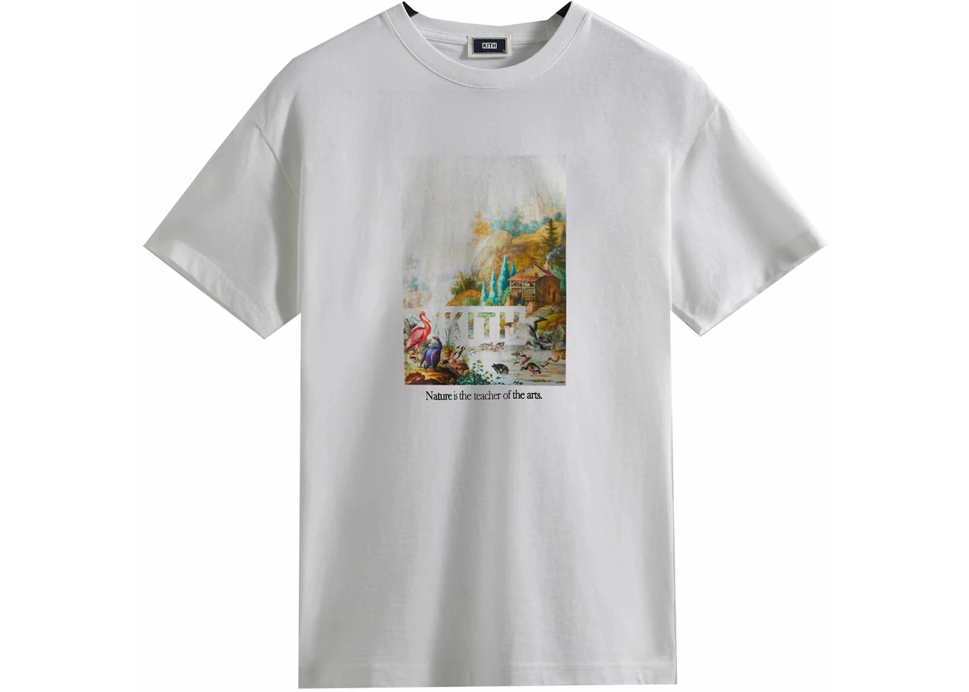 Kith Art Of Nature Vintage Tee White