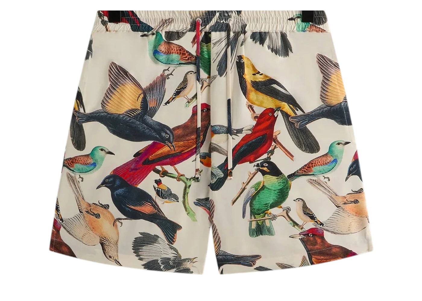 Kith Kin Tropical Bird Active Short Sandrift