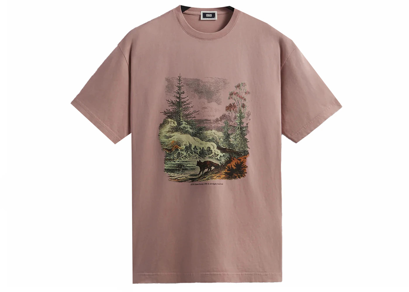 Kith Nature Society Vintage Tee Dusty Quartz