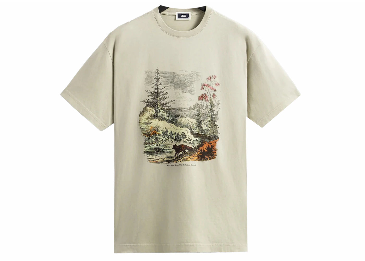 Kith Nature Society Vintage Tee Sandrift