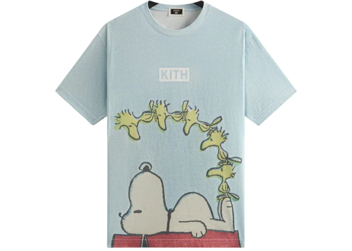 Kith x Peanuts Woodstock Doghouse Comic Vintage Tee Glisten