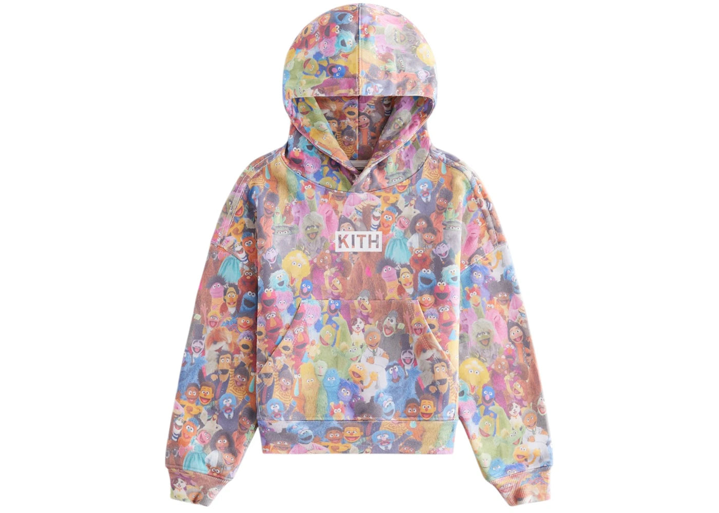 Kith x Sesame Street Kids Family Nelson Hoodie Multi