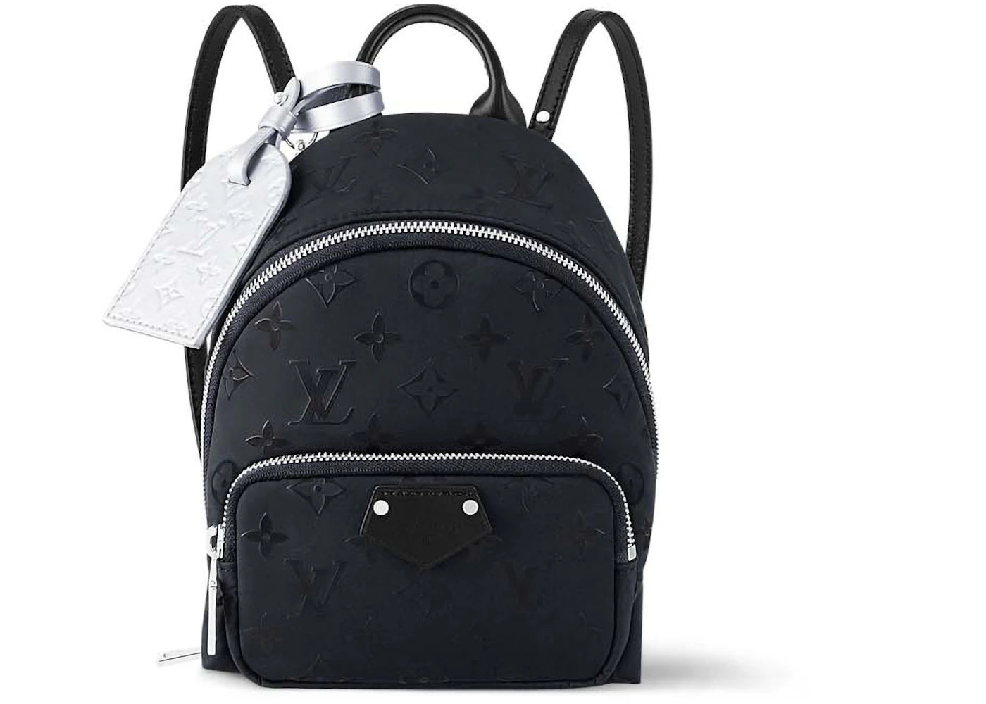 Louis Vuitton Palm Spring Mini Polar Night